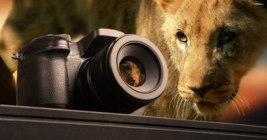 appareil photo pour safari