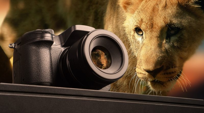 appareil photo pour safari
