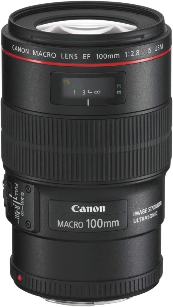 Canon EF 100 mm f/2,8 Macro L IS USM